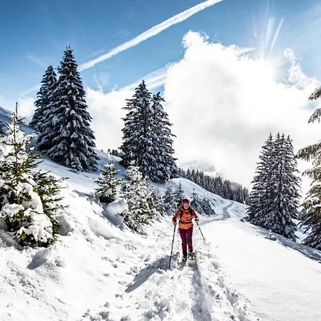 Voinettes Vnb8 Telecabine & Mountain 4 Pers Apartment Chatel