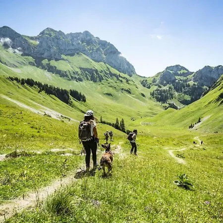 Voinettes Vnb8 Telecabine & Mountain 4 Pers Daire